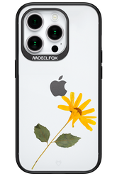Pressed Flower - Apple iPhone 15 Pro