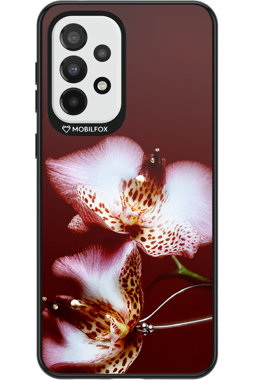 Leobloomy 2.0 - Samsung Galaxy A33