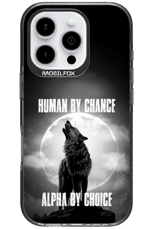 Alpha 2.0 - Apple iPhone 16 Pro