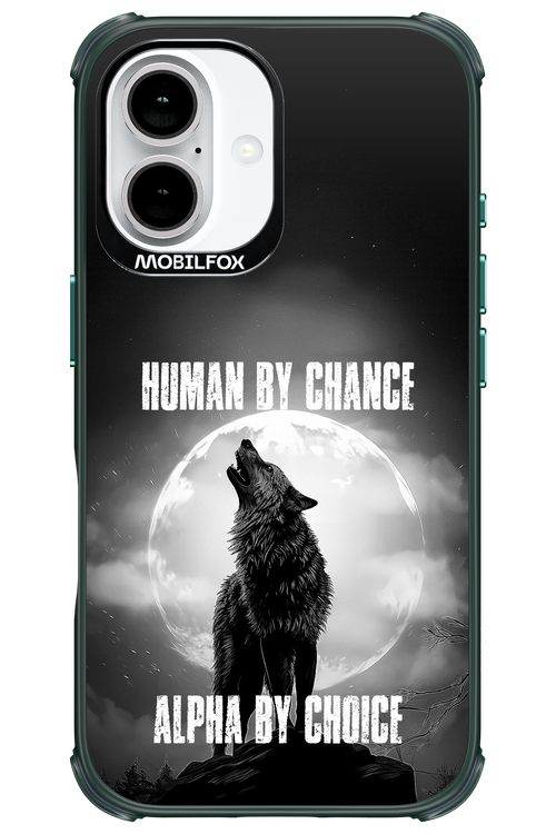 Alpha 2.0 - Apple iPhone 16