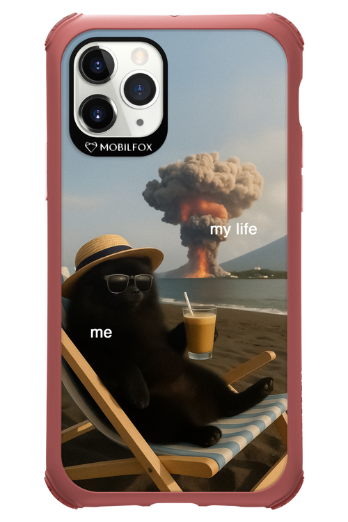 My Life vs. Me 2.0 - Apple iPhone 11 Pro