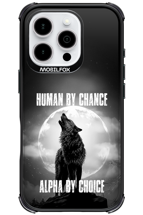 Alpha 2.0 - Apple iPhone 16 Pro