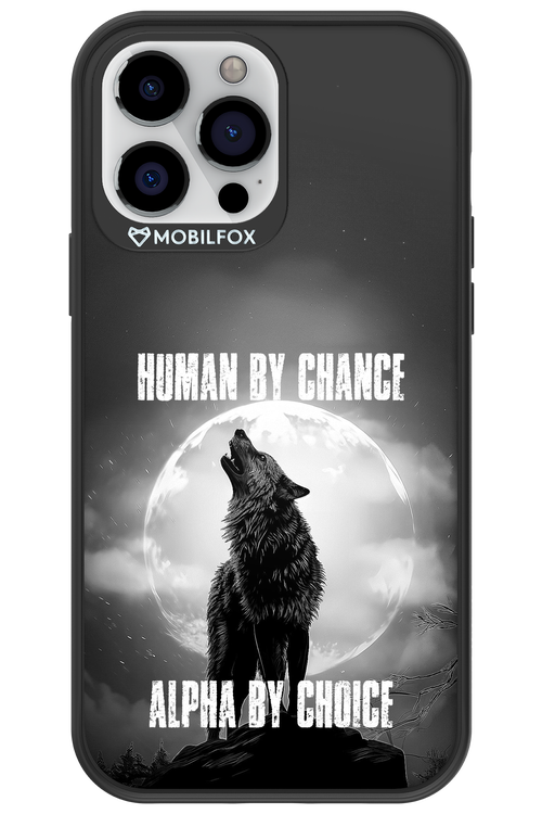 Alpha 2.0 - Apple iPhone 13 Pro Max