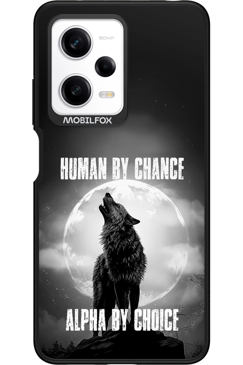 Alpha 2.0 - Xiaomi Redmi Note 12 Pro 5G