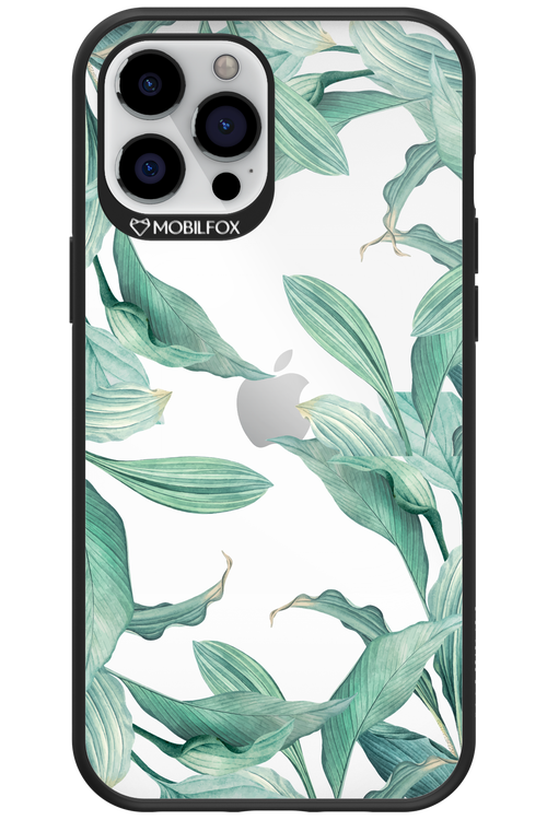 Greenpeace - Apple iPhone 12 Pro Max