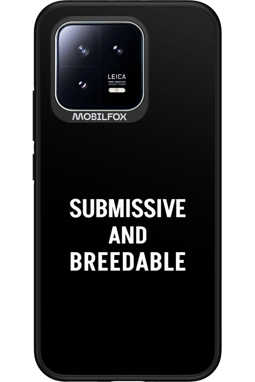 S&B 2.0 - Xiaomi 13