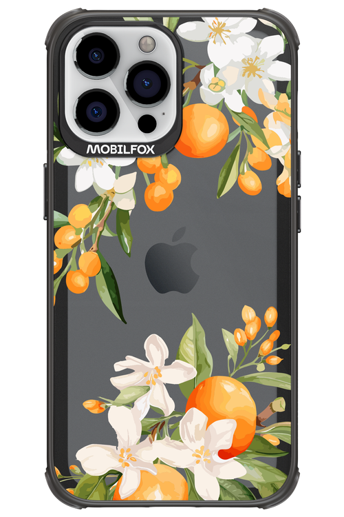 Amalfi Orange - Apple iPhone 13 Pro Max