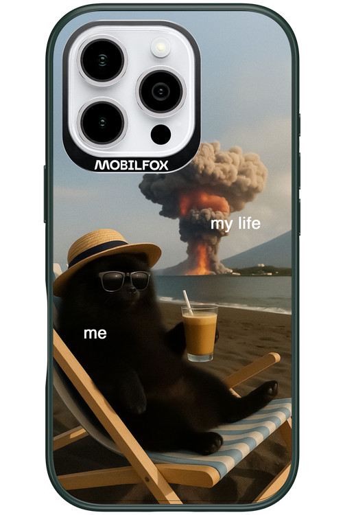My Life vs. Me 2.0 - Apple iPhone 16 Pro