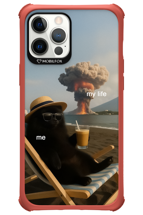 My Life vs. Me 2.0 - Apple iPhone 12 Pro Max