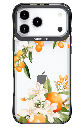 Amalfi Orange - Apple iPhone 17 Pro Max