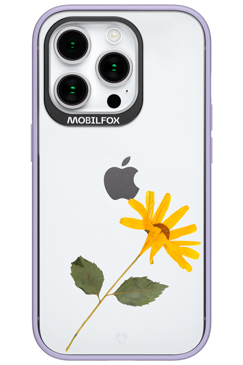 Pressed Flower - Apple iPhone 15 Pro