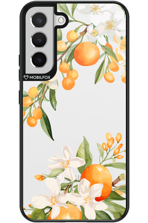Amalfi Orange 2.0 - Samsung Galaxy S22+