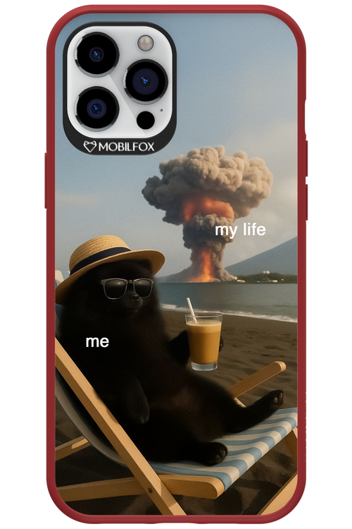 My Life vs. Me - Apple iPhone 12 Pro Max