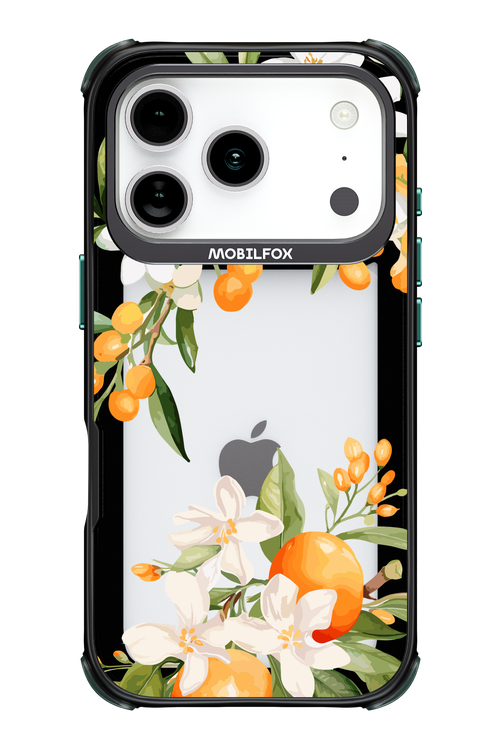 Amalfi Orange - Apple iPhone 17 Pro