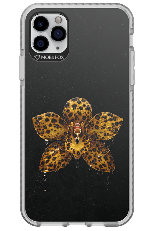 Wet & Wild 2.0 - Apple iPhone 11 Pro Max