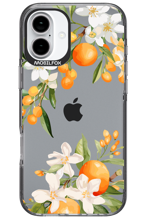 Amalfi Orange - Apple iPhone 16 Plus