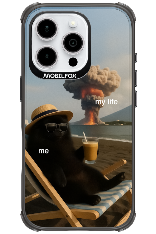 My Life vs. Me 2.0 - Apple iPhone 16 Pro