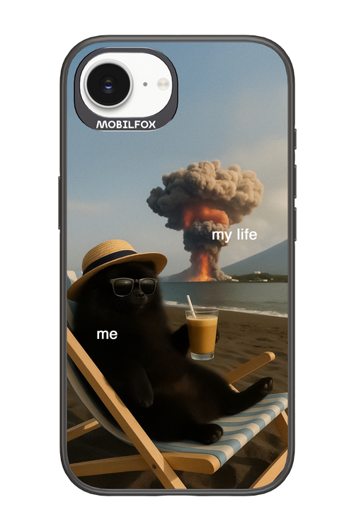 My Life vs. Me 2.0 - Apple iPhone 16e