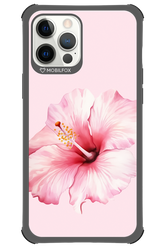 HibiPinky - Apple iPhone 12 Pro Max