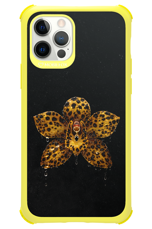 Wet & Wild 2.0 - Apple iPhone 12 Pro