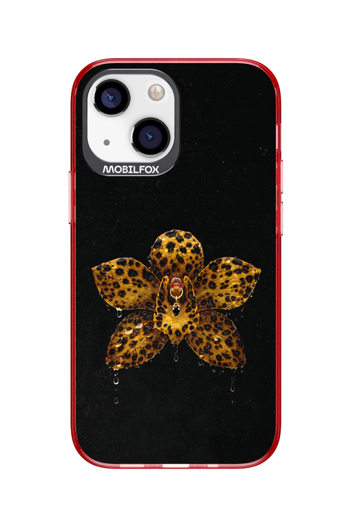 Wet & Wild 2.0 - Apple iPhone 13 Mini