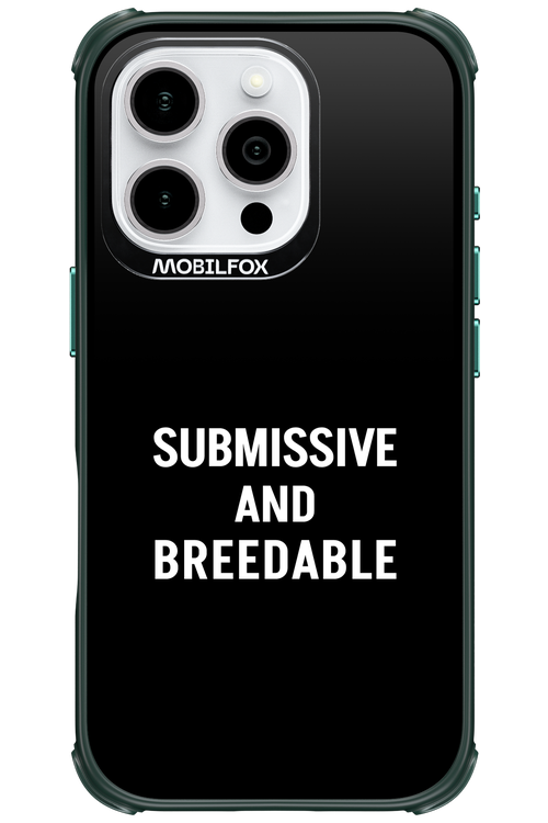 S&B - Apple iPhone 16 Pro