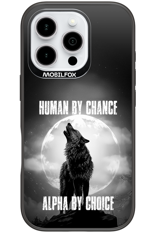 Alpha 2.0 - Apple iPhone 16 Pro