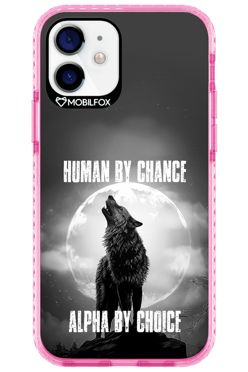 Alpha 2.0 - Apple iPhone 12