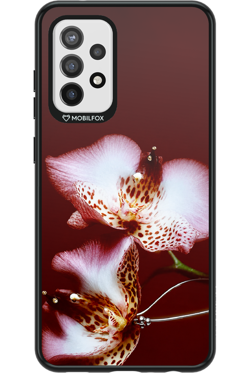 Leobloomy 2.0 - Samsung Galaxy A72