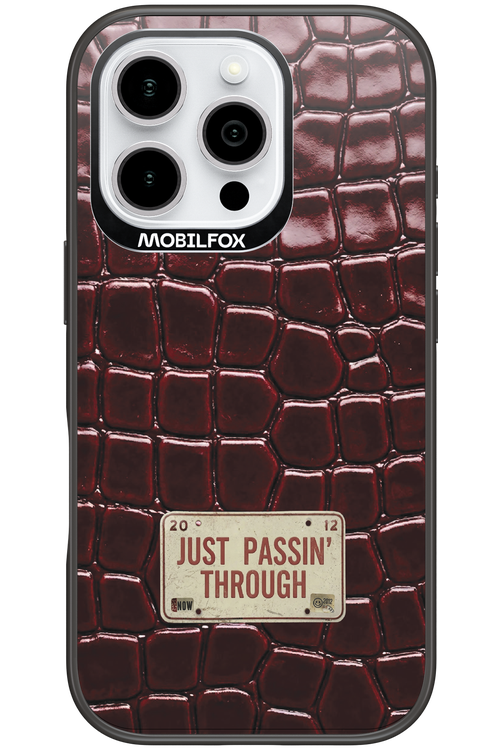 Just passin through 2.0 - Apple iPhone 16 Pro