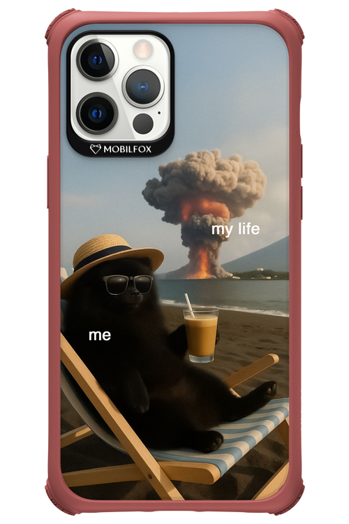 My Life vs. Me 2.0 - Apple iPhone 12 Pro Max