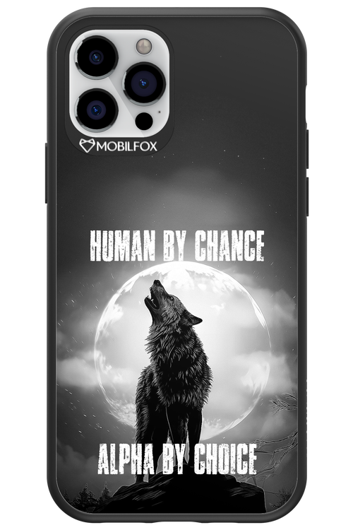 Alpha 2.0 - Apple iPhone 12 Pro