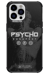 X-Ray - Apple iPhone 13 Pro Max