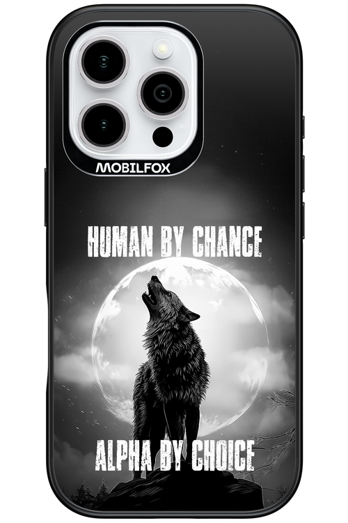 Alpha 2.0 - Apple iPhone 16 Pro