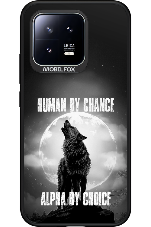 Alpha 2.0 - Xiaomi 13