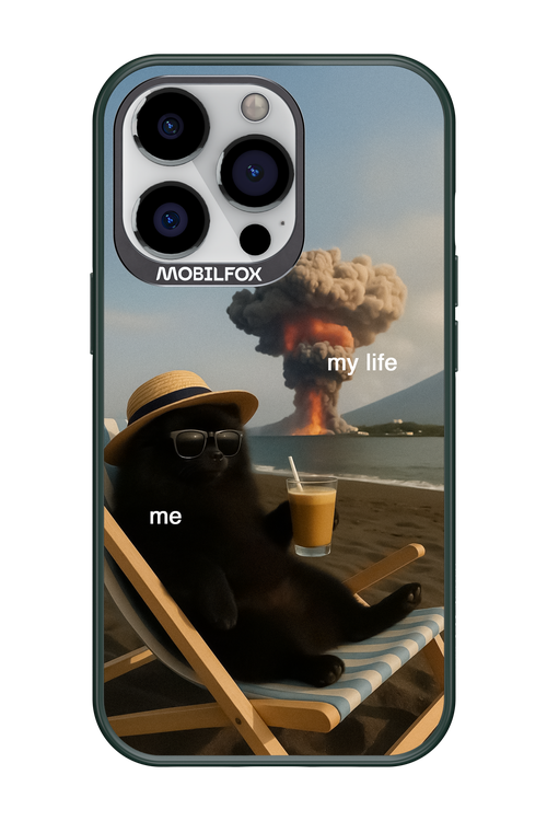 My Life vs. Me 2.0 - Apple iPhone 13 Pro