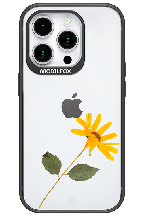Pressed Flower - Apple iPhone 15 Pro
