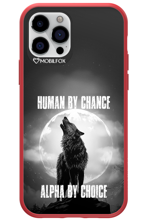 Alpha 2.0 - Apple iPhone 12 Pro