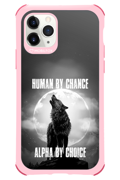 Alpha 2.0 - Apple iPhone 11 Pro