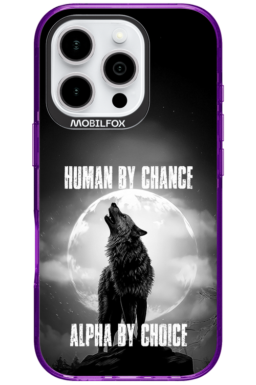 Alpha 2.0 - Apple iPhone 16 Pro