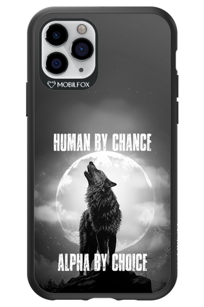 Alpha 2.0 - Apple iPhone 11 Pro