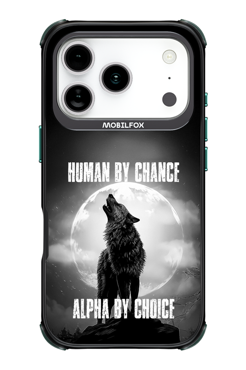 Alpha - Apple iPhone 17 Pro