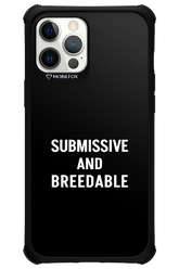 S&B 2.0 - Apple iPhone 12 Pro Max