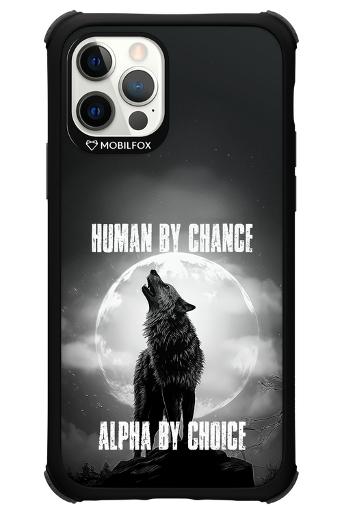 Alpha 2.0 - Apple iPhone 12 Pro