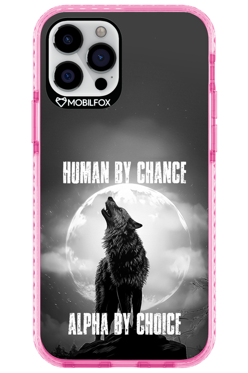 Alpha 2.0 - Apple iPhone 12 Pro