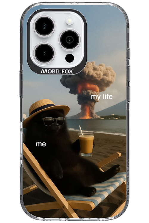 My Life vs. Me 2.0 - Apple iPhone 16 Pro