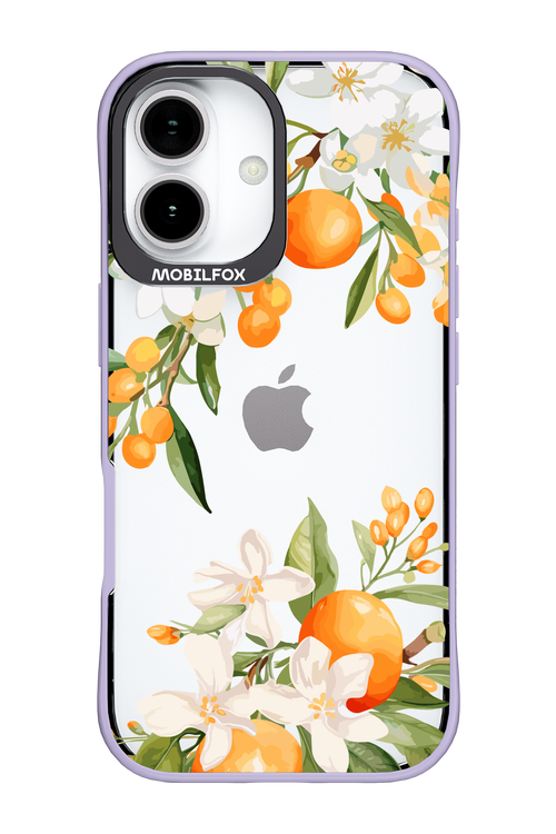 Amalfi Orange - Apple iPhone 17