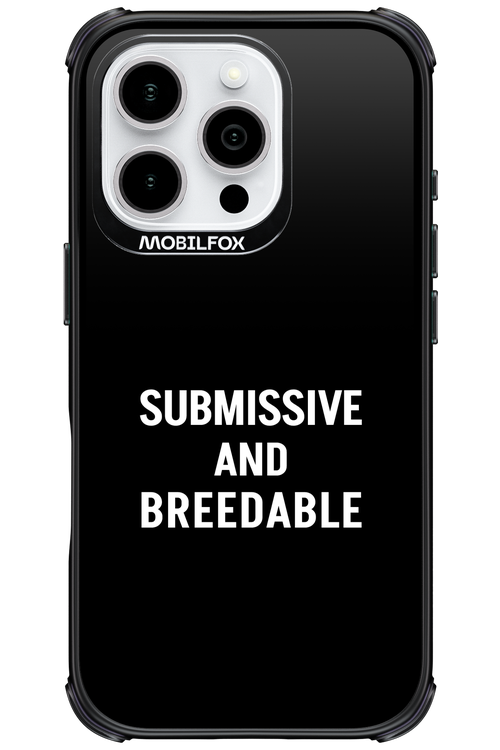 S&B 2.0 - Apple iPhone 16 Pro