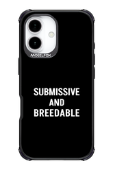 S&B - Apple iPhone 17