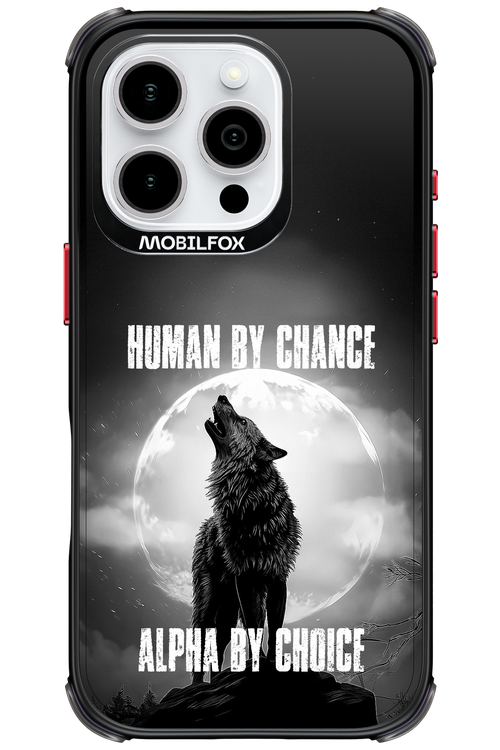 Alpha 2.0 - Apple iPhone 16 Pro